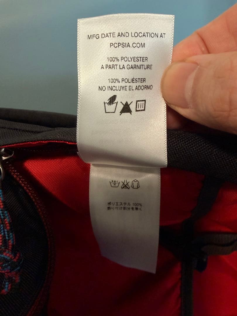 【極美品】パタゴニア アーバー・デイパックArbor Day Pack 20L