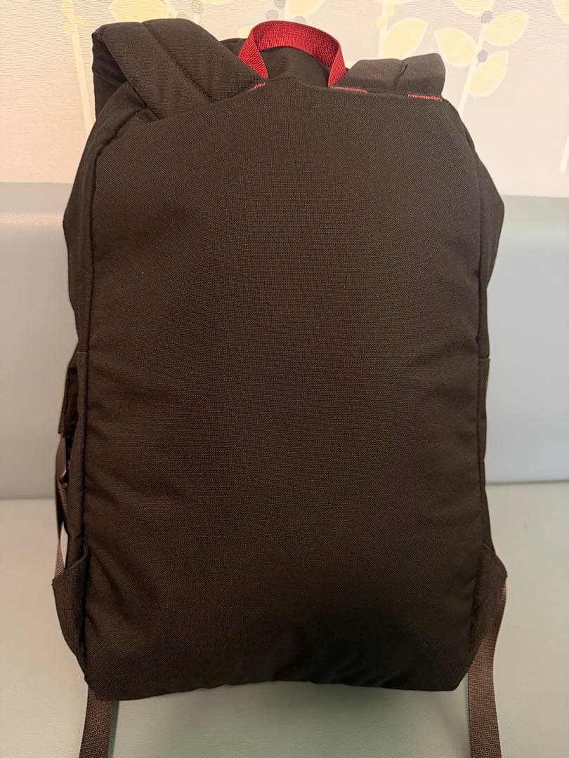 【極美品】パタゴニア アーバー・デイパックArbor Day Pack 20L