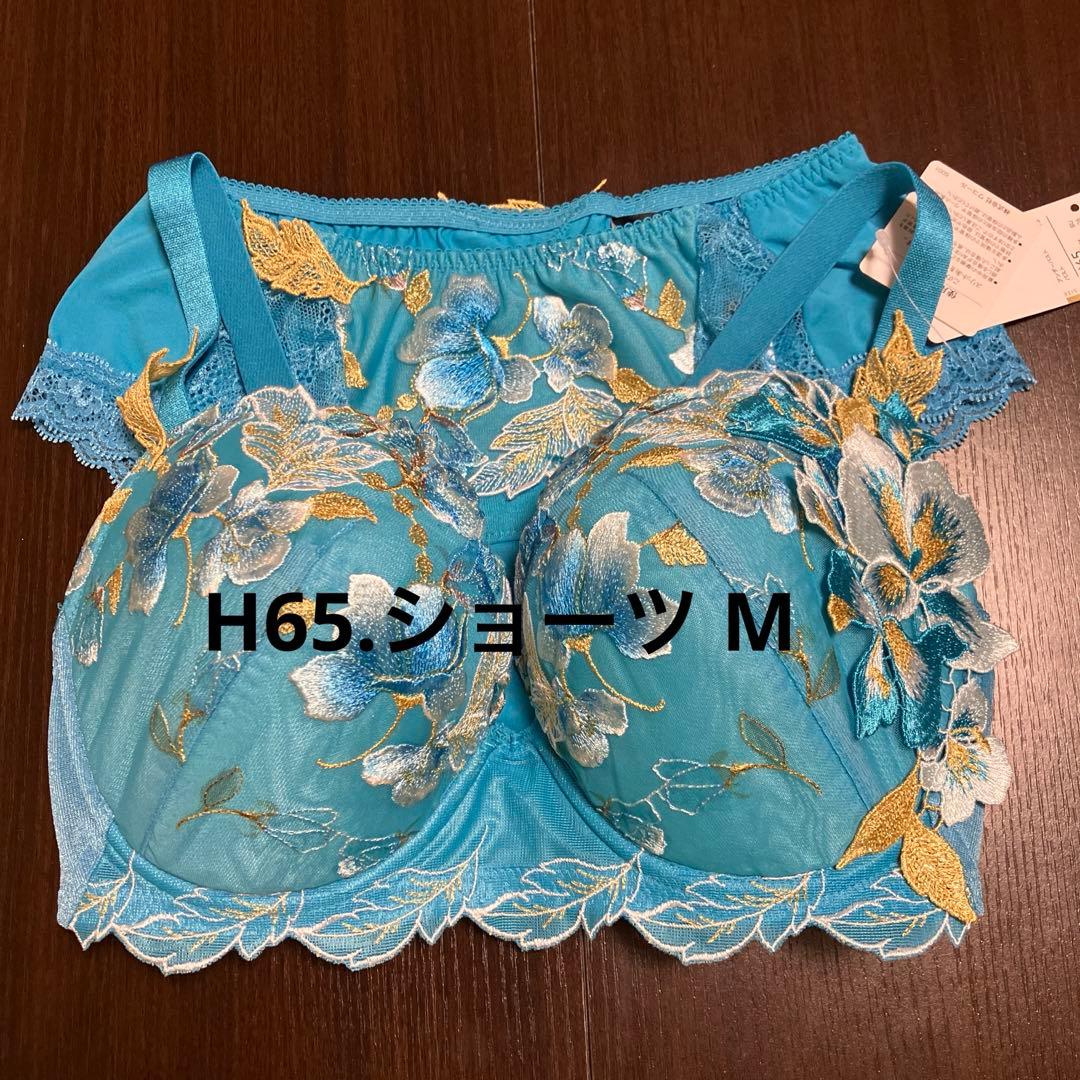 ワコール　サルート　H65