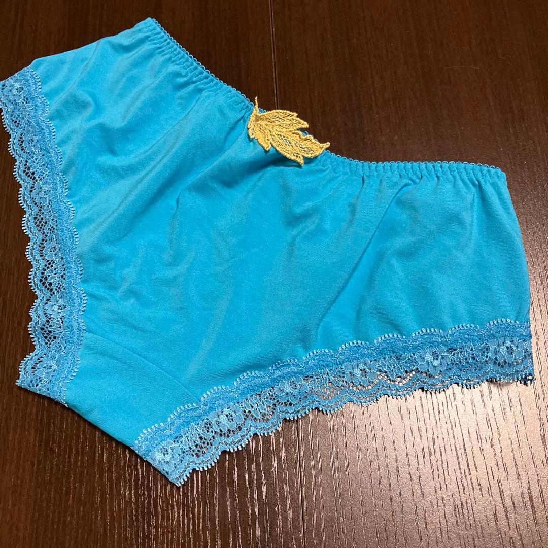 ワコール　サルート　H65