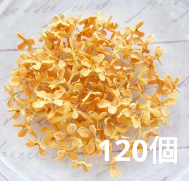 Pono様◆【ドライフラワー】キンモクセイ/金木犀 ♡（826）