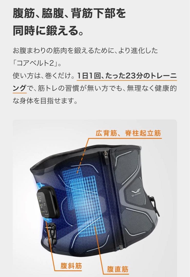 コアベルト2（L）