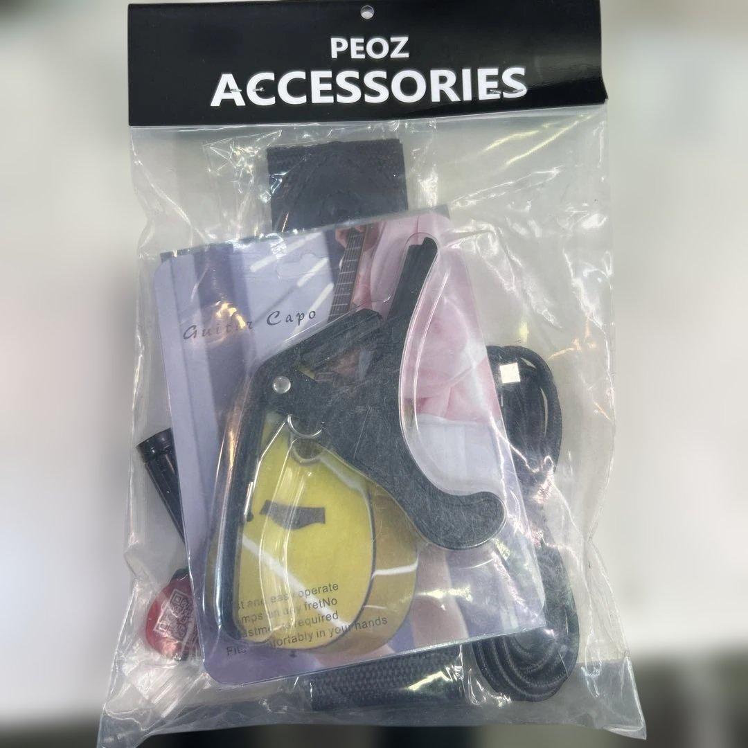 7194 PEOZ / TR1【スマートギター】ホワイト