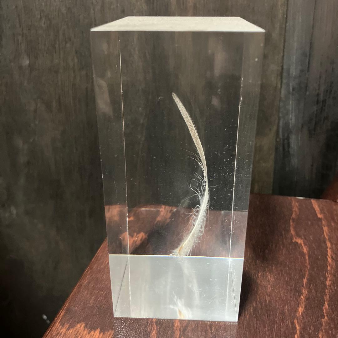 倉俣史朗 ShiroKURAMATA Floating Feather羽根の封印