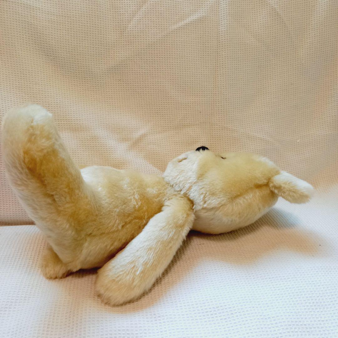 Frederick くまのboo　貝戸由希さん　作家　テディベア