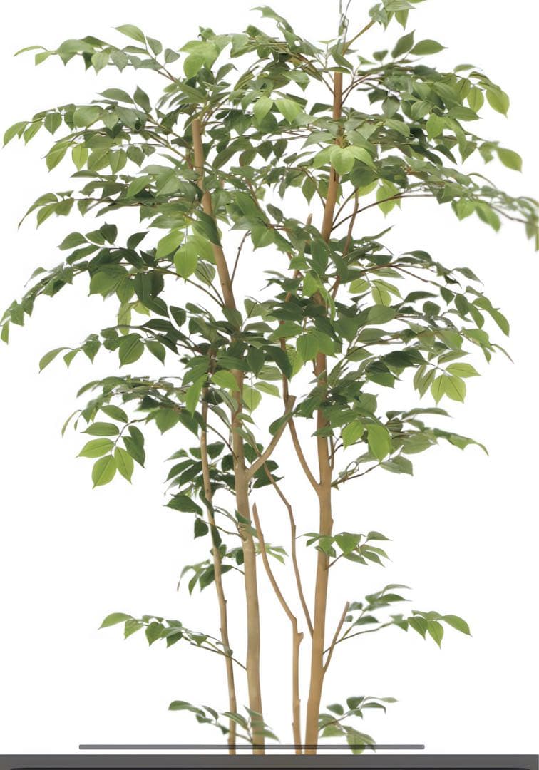 光触媒　人工観葉植物　フェイクグリーン　マウンテンアッシュ1.8m