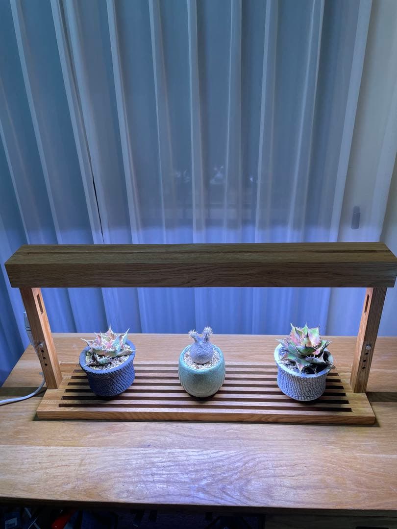 新作！植物育成LEDライトスタンド［オーク］