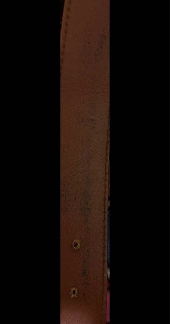 flexwitmeベルト　DAB着用