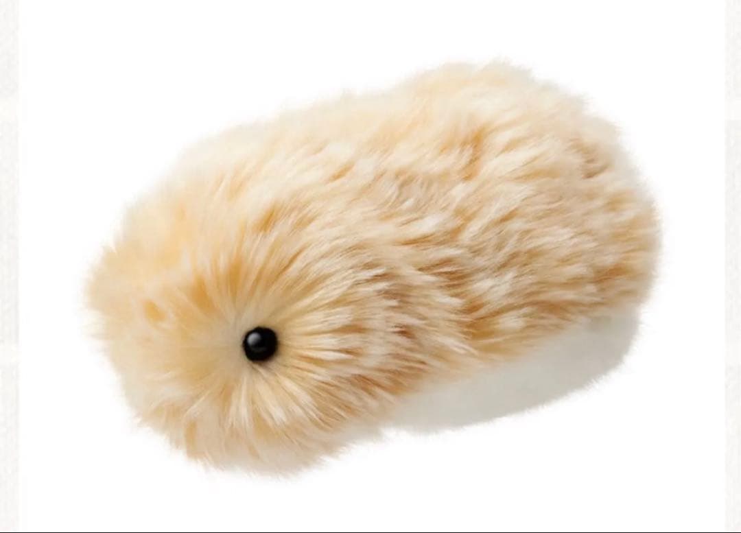 【新品未開封】モフリン　ゴールド　CASIO