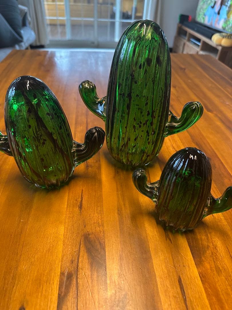 サボテン　3つセット