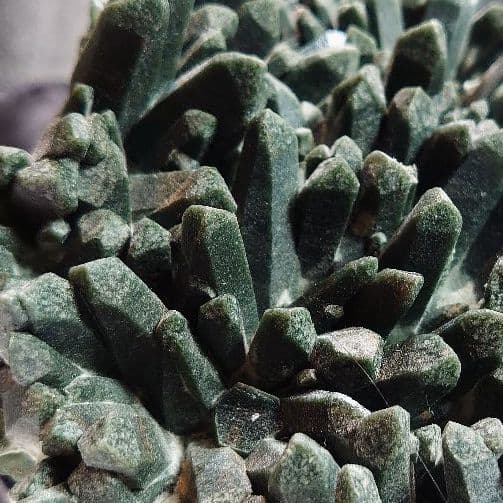 龍神の水晶✧超希少ヒンドゥーグリーン緑水晶クラスター✺Ganesh Himal