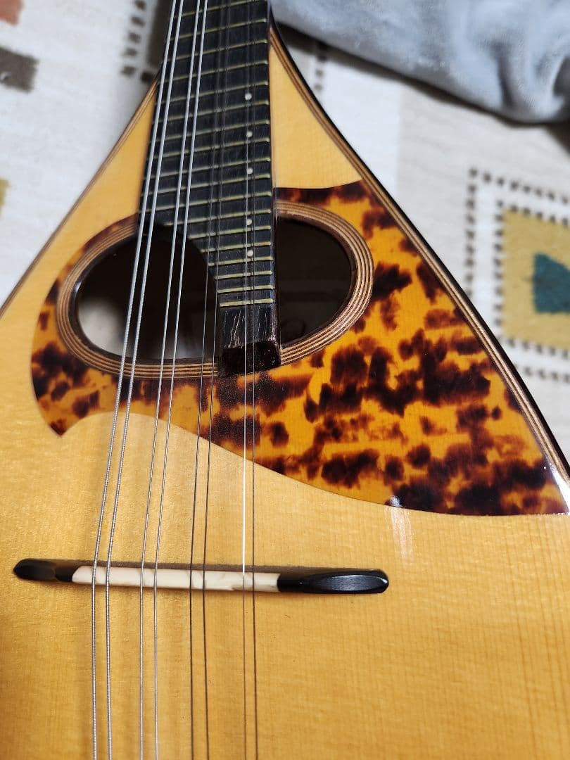 Raffaele 寺田楽器製 マンドリン RM-3