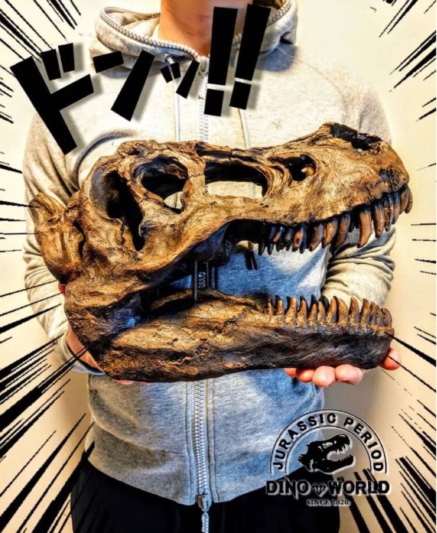 ✨お得なセット✨ ティラノサウルス トリケラトプス 化石 ジュラシックワールド