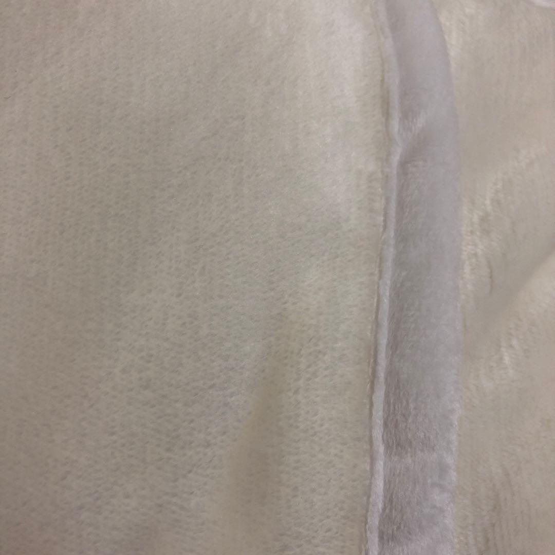 nishikawa 西川 ホワイトダックダウン入り毛布掛け布団 シングル