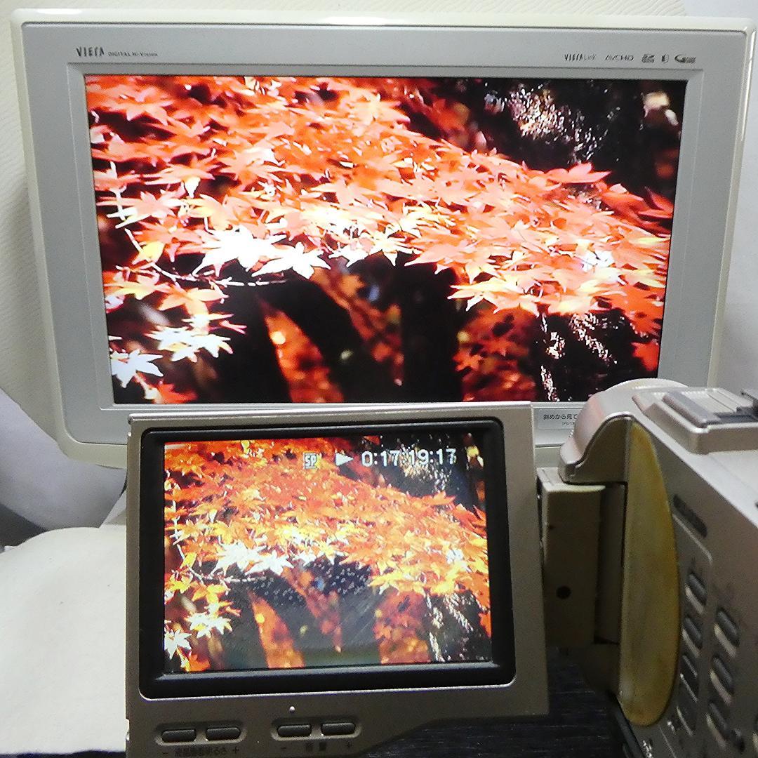 動作品ソニー DCR-TRV10 Mini DVビデオカメラDVDダビングに最適