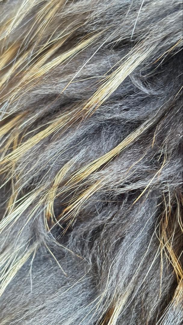 Moncler モンクレール　ファーベスト　リバーシブル1 ほぼ未使用品