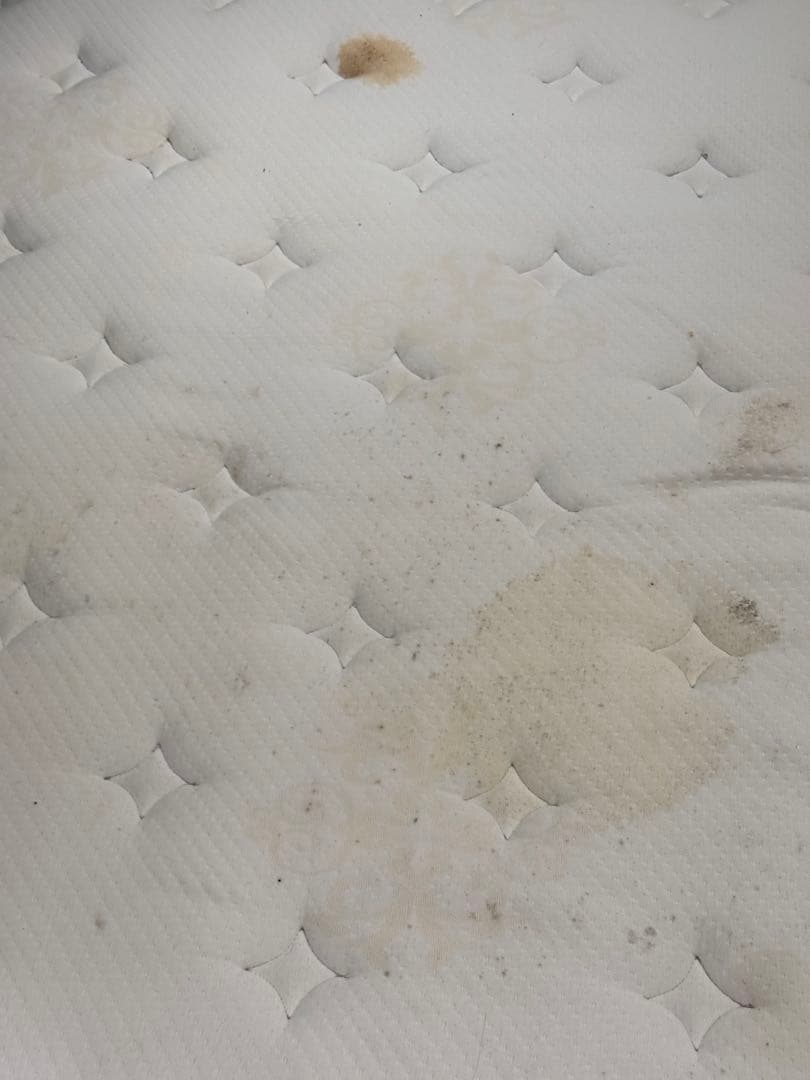 シモンズ Beautyrest Golden Value ダブルベッド