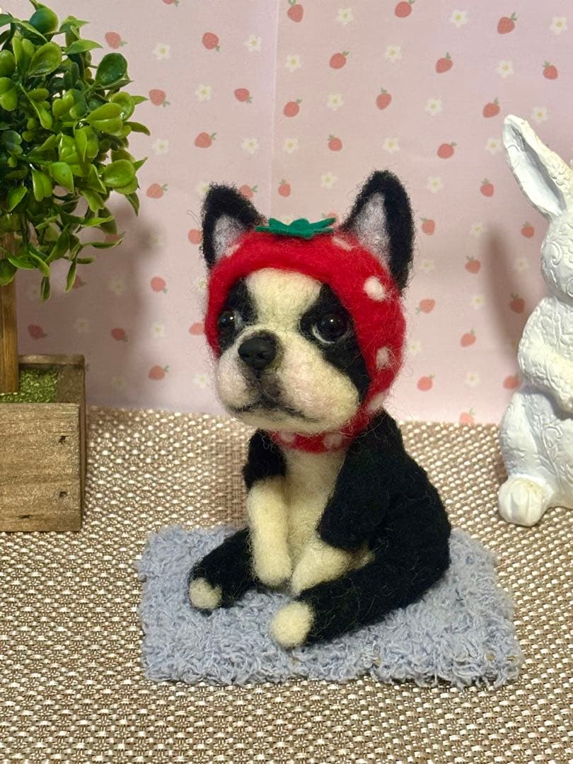 羊毛フェルト♡ボストンテリアちゃん♡苺の被り物♪(๑ᴖ◡ᴖ๑)♪