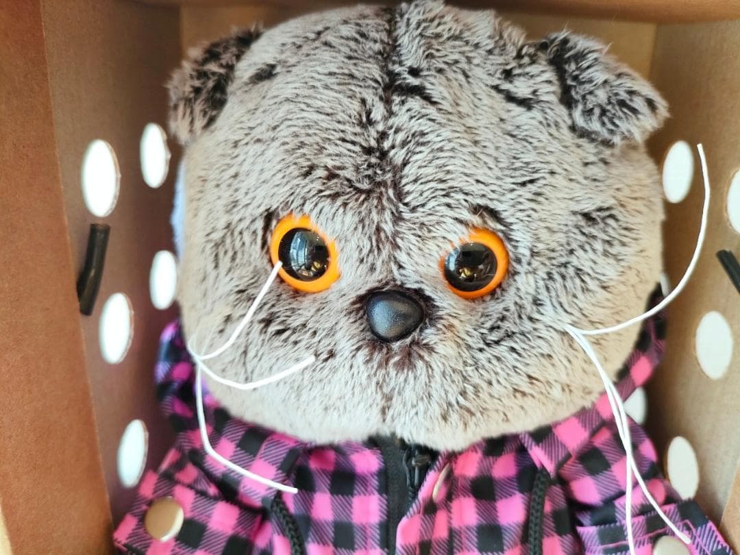 【BBB104】22cm ブディーバーサ　猫のぬいぐるみ バーシック