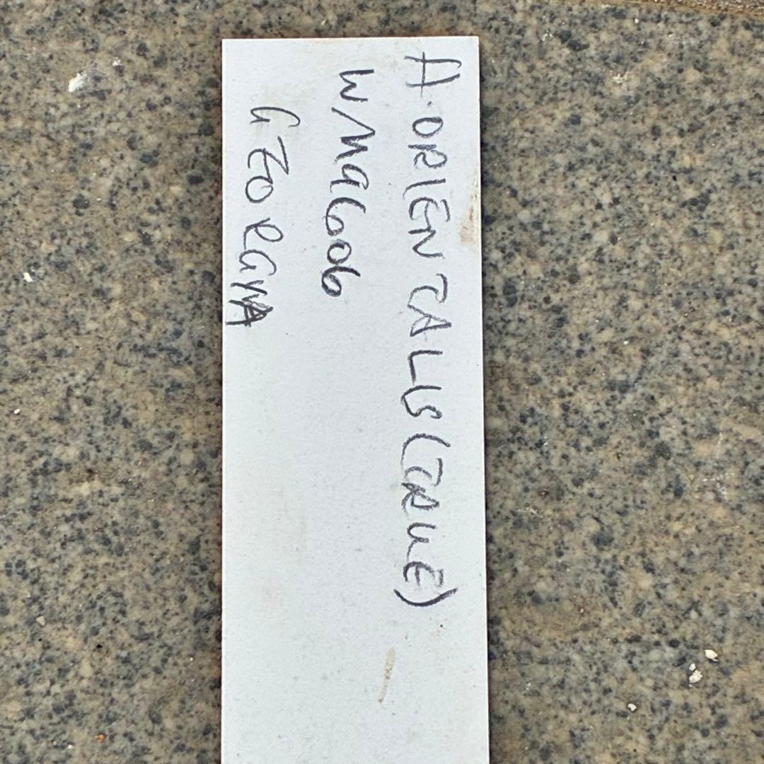 も*子様 ☘️限定1株☘️直筆タグ付☘️蕾付☘️大株☘️3388⭐️WM原生地採