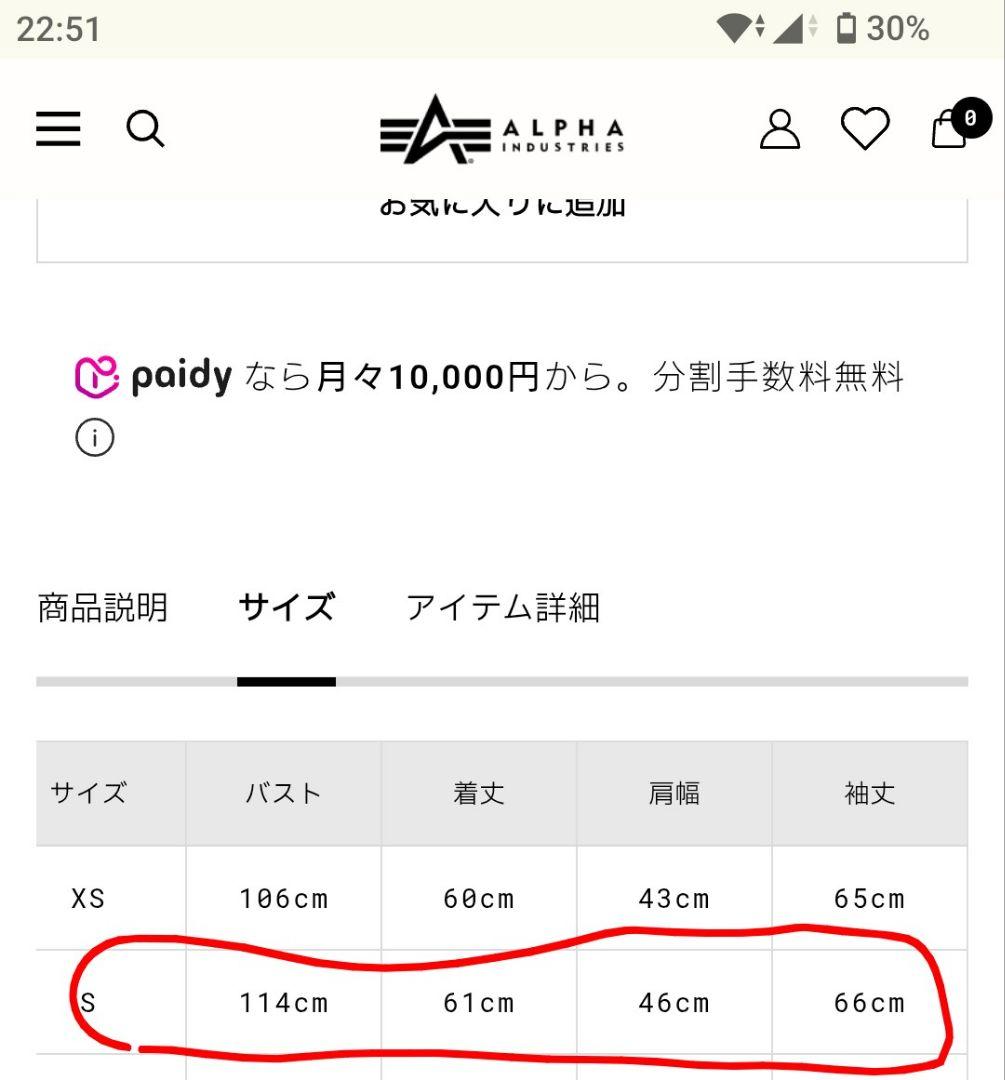 アルファインダストリーズ MA-1 2025年 日本国内流通版