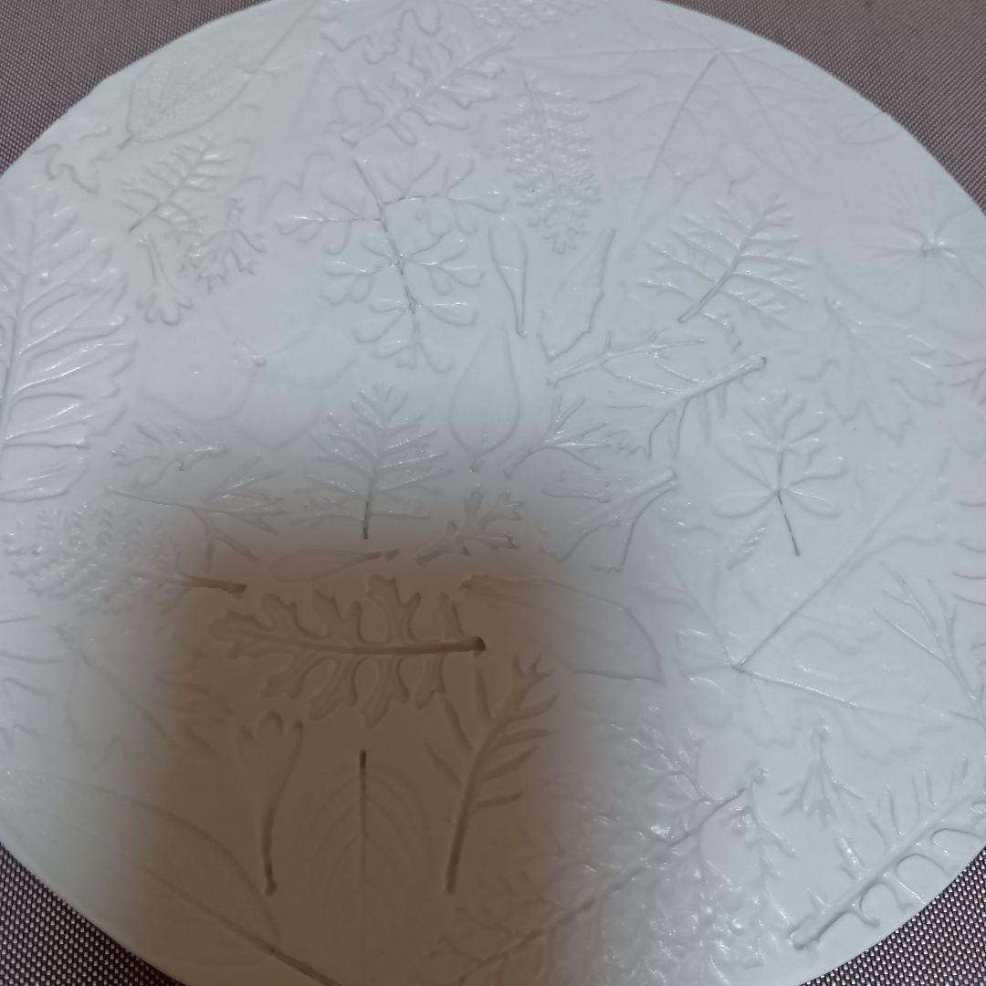 新品未使用　角井理愛さんのボタニカルシリーズ葉模様のホワイト皿