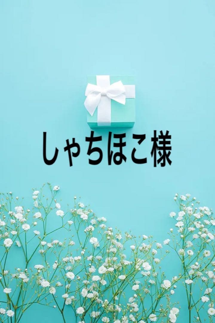 しゃちほこ専用出品になります。