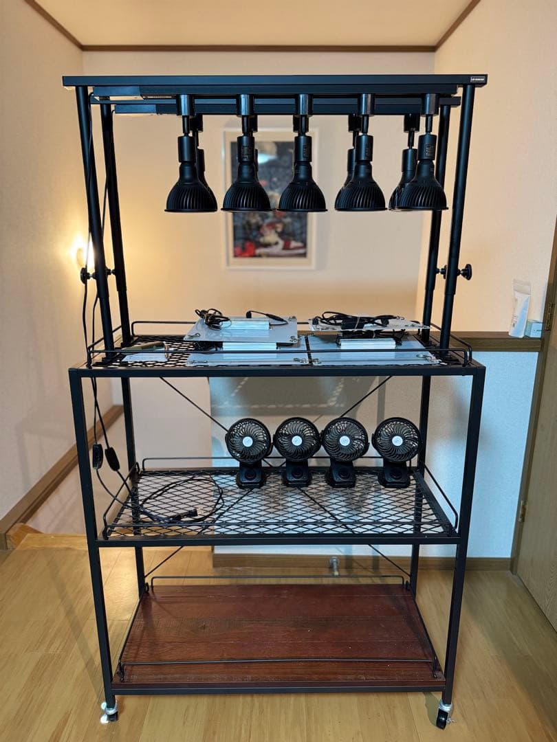 アイアンシェルフ 植物棚 アガベ ライトレール、LEDパネル、サーキュレーター付