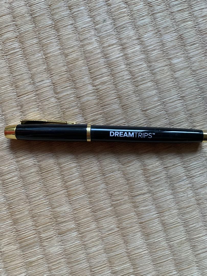 DREAMTRIPS ボールペンとUSBライトセット