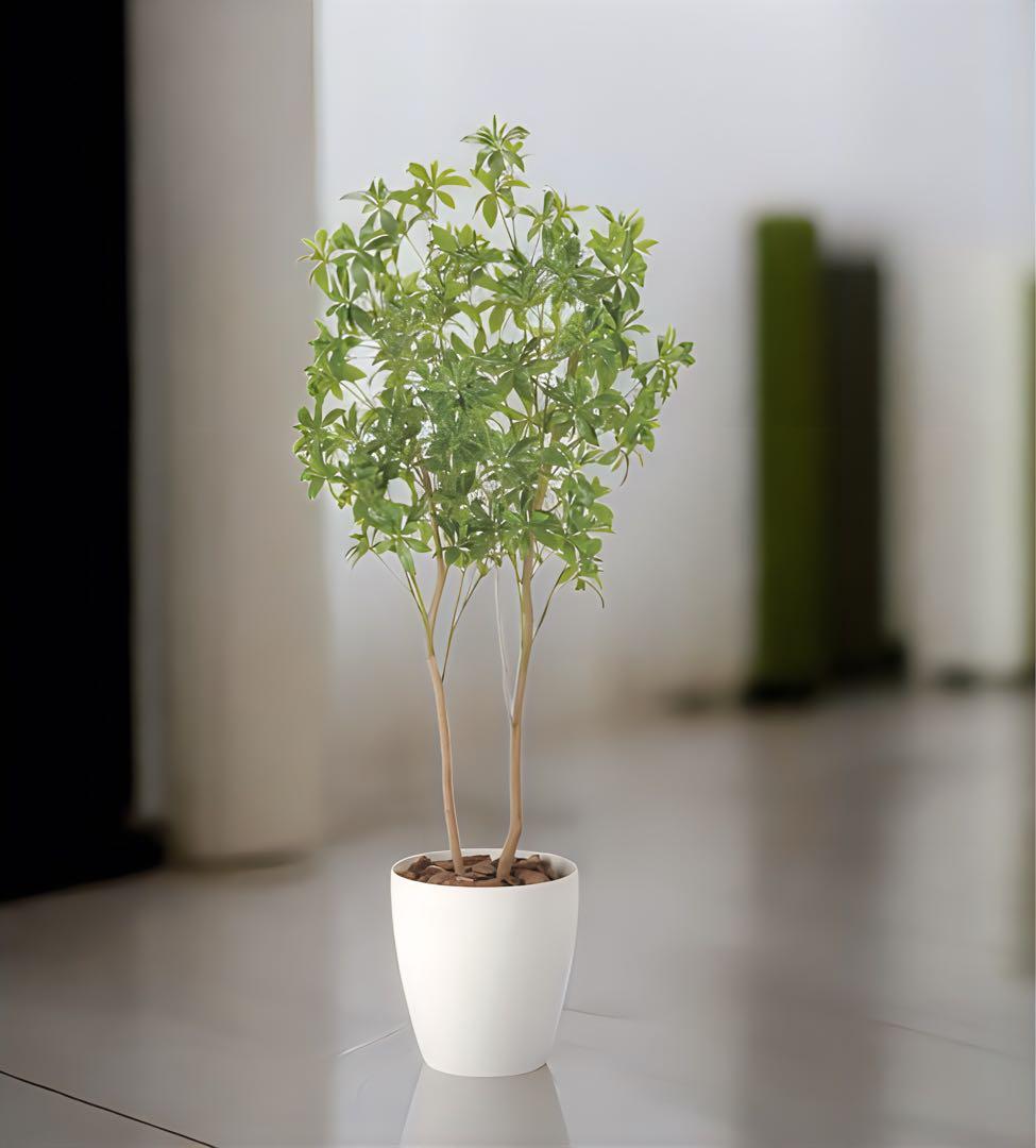 光触媒　人工観葉植物　ウォールグリーン　フェイクグリーン　フレッシュアセビ1.8