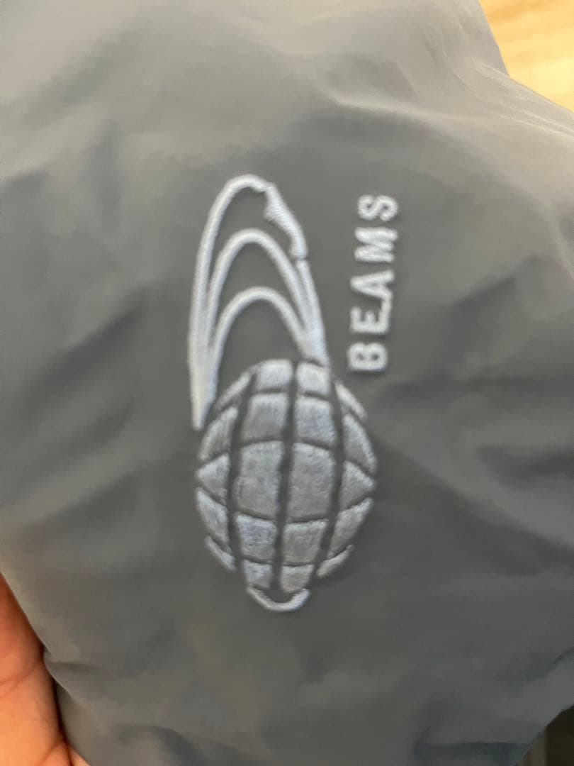 廃盤美品Arcteryx BEAMS 別注モデルベータ SL 希少カラー　グレー