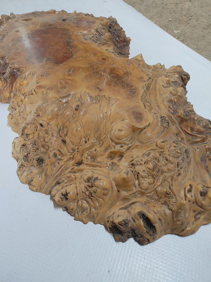 欅　ケヤキ　瘤　コブ　輪切　一枚板　花台　飾り台　銘木　無垢材/自然素材