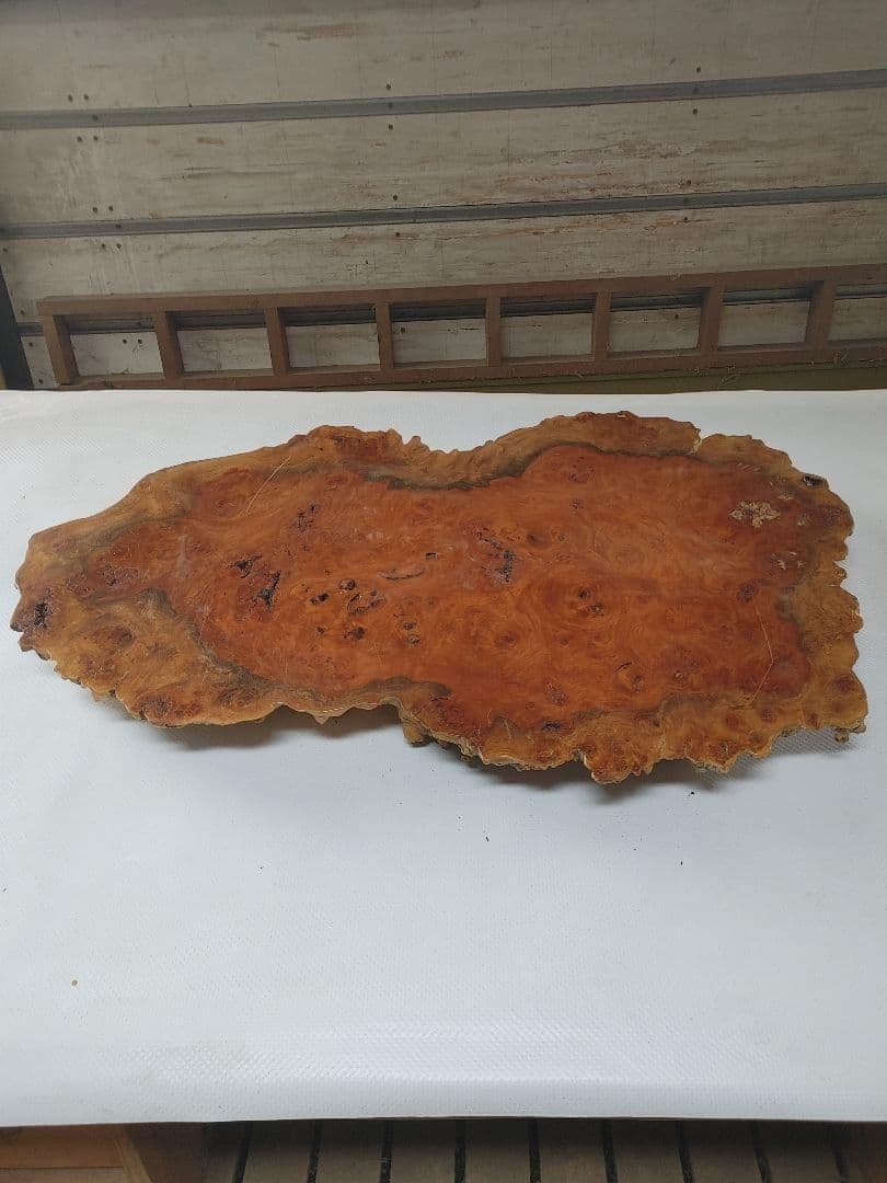 欅　ケヤキ　瘤　コブ　輪切　一枚板　花台　飾り台　銘木　無垢材/自然素材