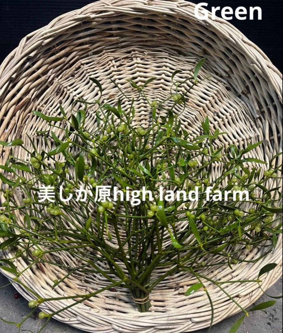 枝切りヤドリギ　約40㎝23本‼️お客様ご注文品１２月６日発送♪