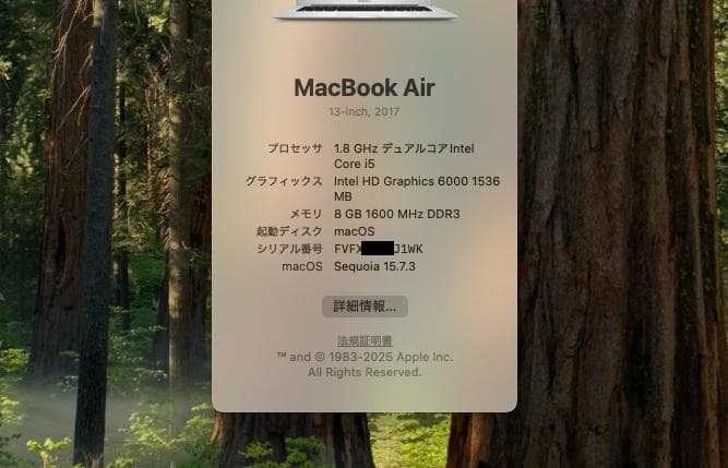 MacBook Air (13-inch, 2017)　A1466＋α　良好