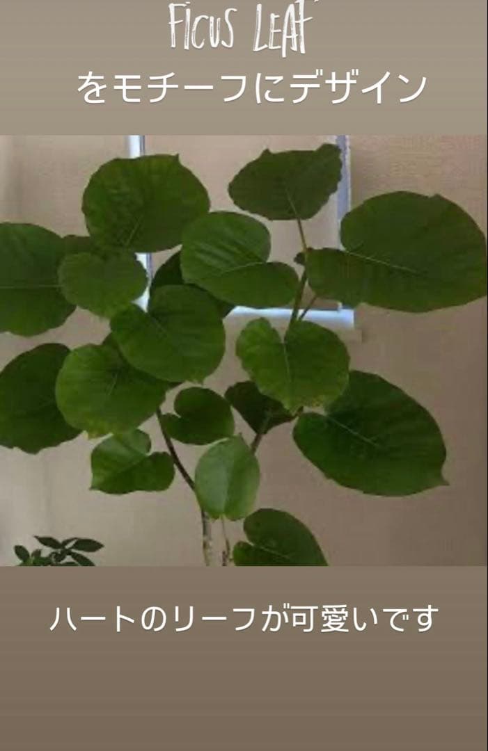 Gちゃん❤️ フィカス　ブラウンmopフローライト14kgfピアス