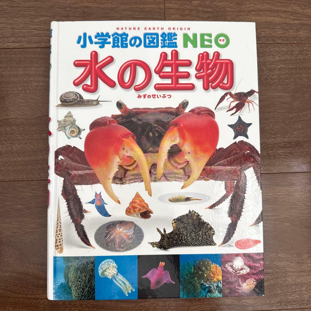 小学館の図鑑NEO (一部DVD付き)15巻セット