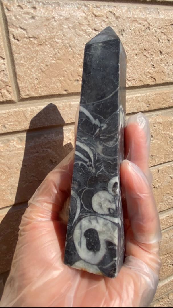 フォッシルマーブル（化石大理石）タワー／ポイント 希少六角柱 天然石 原石 鉱物