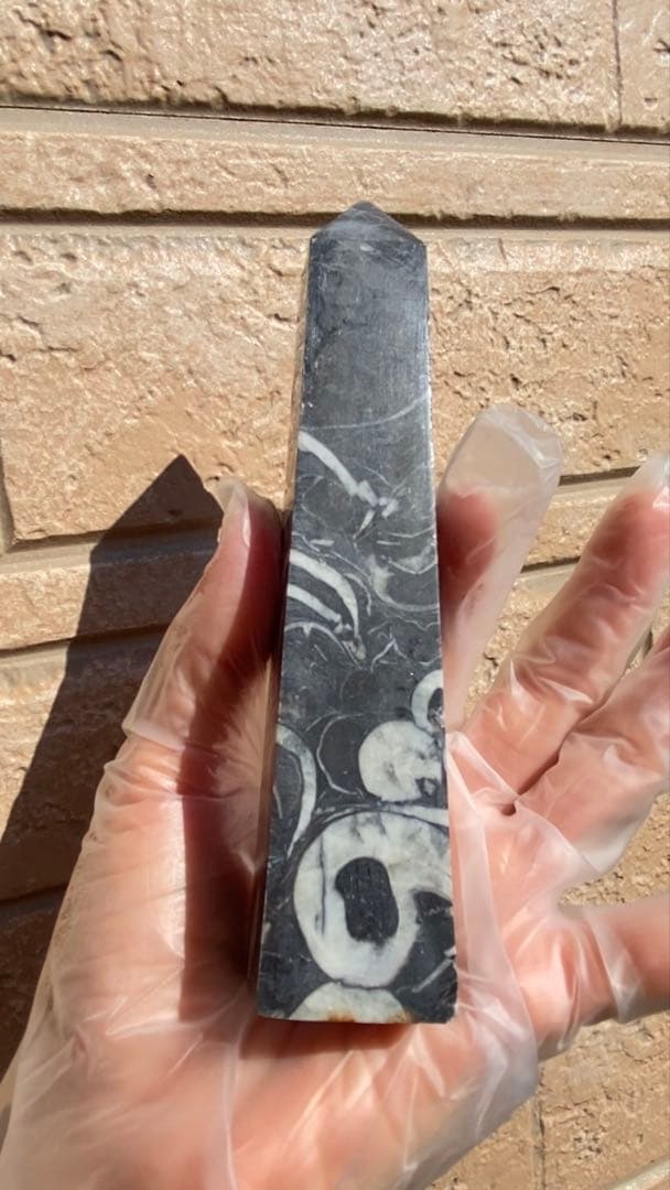 フォッシルマーブル（化石大理石）タワー／ポイント 希少六角柱 天然石 原石 鉱物