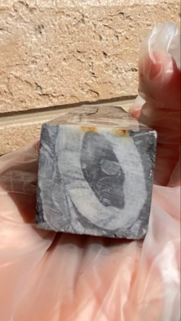 フォッシルマーブル（化石大理石）タワー／ポイント 希少六角柱 天然石 原石 鉱物