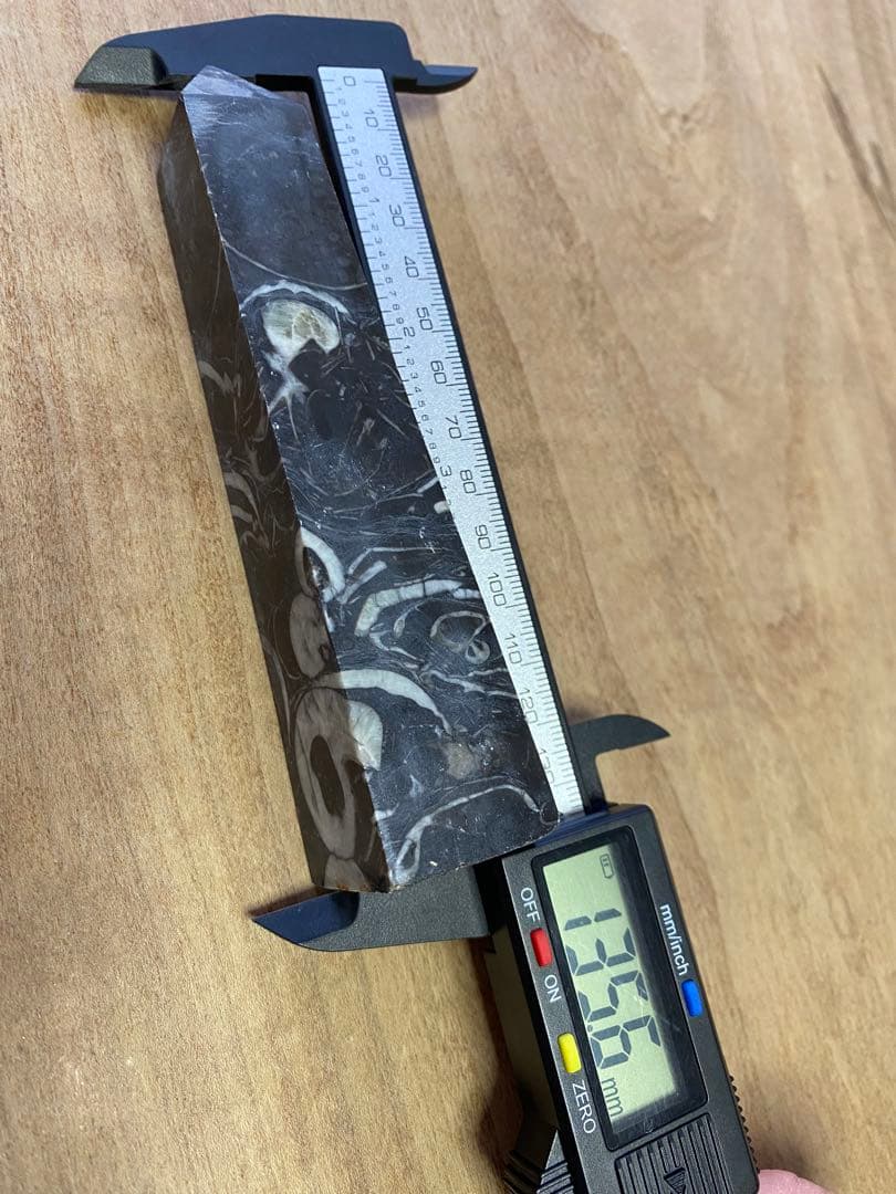 フォッシルマーブル（化石大理石）タワー／ポイント 希少六角柱 天然石 原石 鉱物