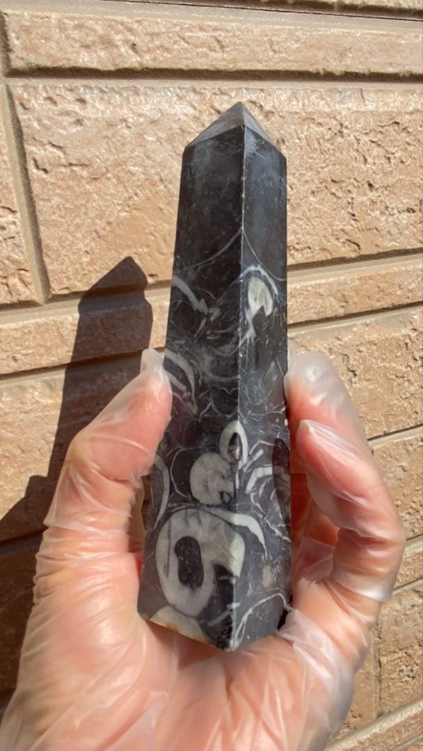 フォッシルマーブル（化石大理石）タワー／ポイント 希少六角柱 天然石 原石 鉱物