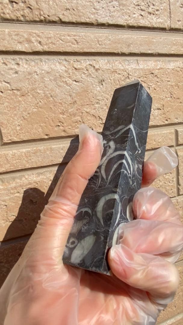 フォッシルマーブル（化石大理石）タワー／ポイント 希少六角柱 天然石 原石 鉱物