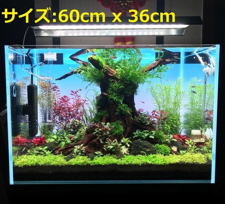 【lcl63】カラーLEDライトスクリーン 60cm x 36cm