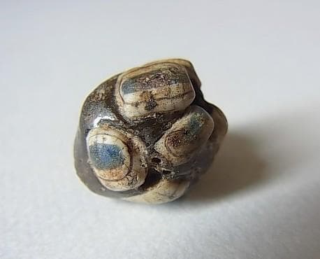 ★G2702★古代とんぼ玉 (A46)リアル！ 重層　8個の眼文　ガラスビーズ