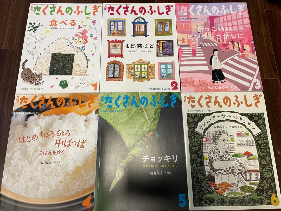 月刊たくさんのふしぎ2024年　12冊　ほぼ新品