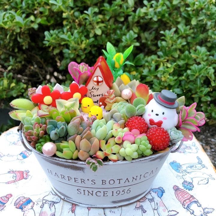 多肉植物寄せ植え♡♡仲良し小鳥さんみんなでお出かけ❤