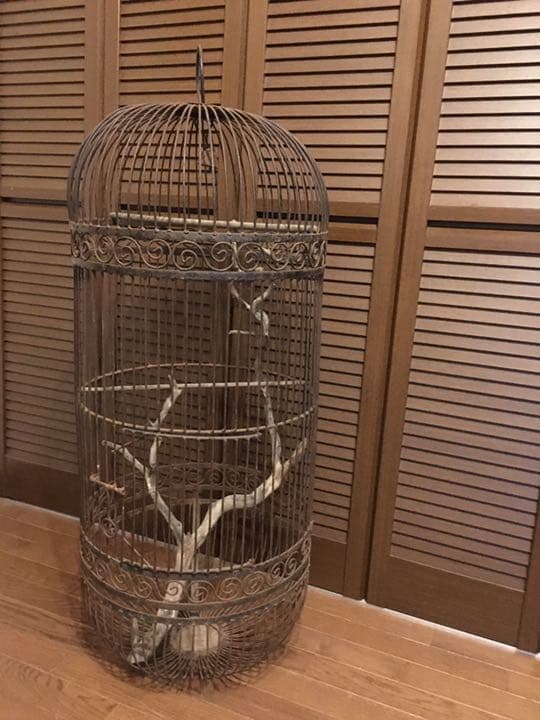 ヴィンテージ 特大 アイアン バードゲージ 鳥かご