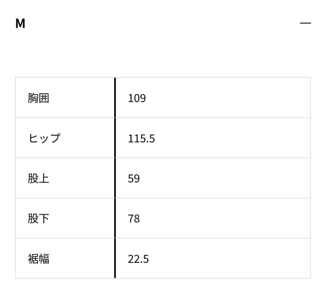 DR-5125P daiwa RAINMAX リップストップビブパンツ