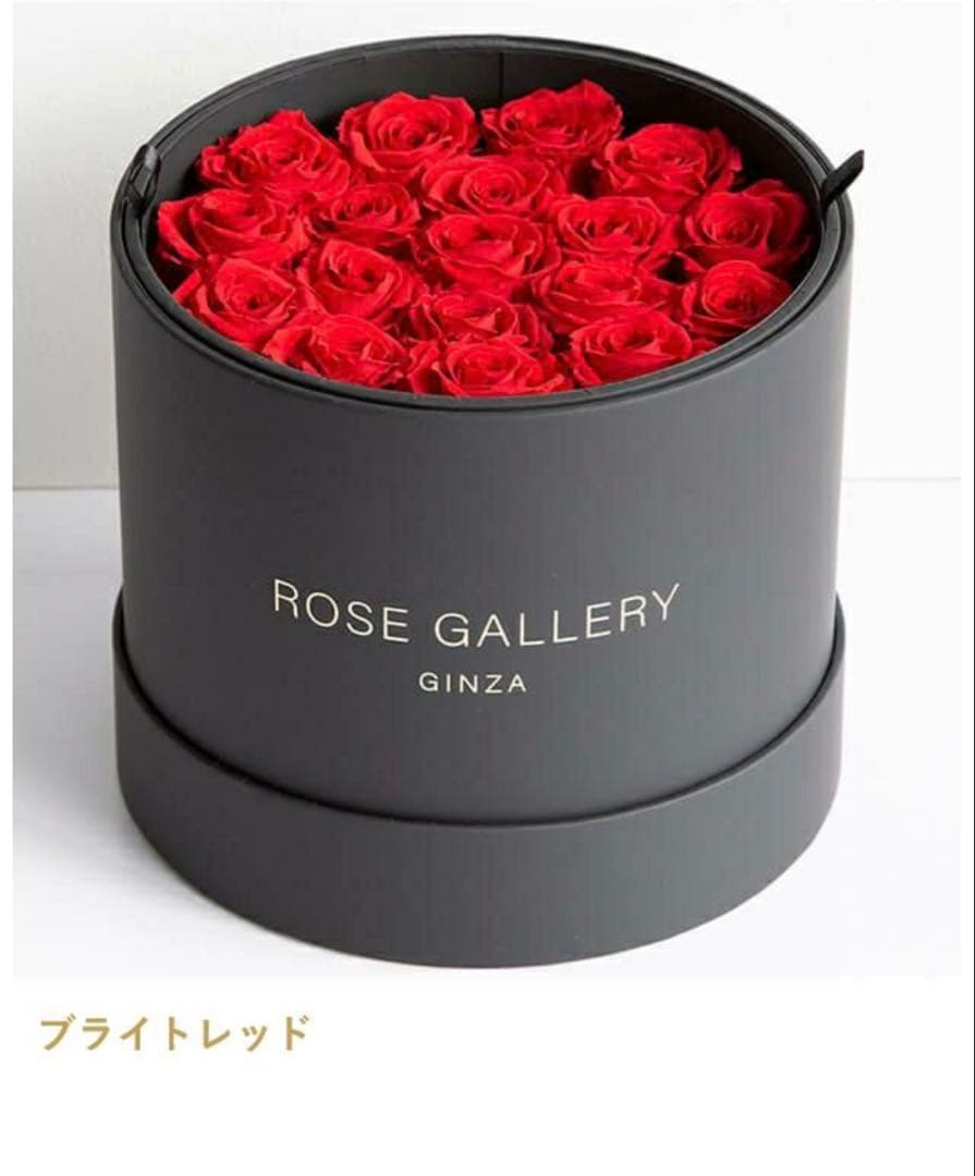 ROSE GALLERY GINZA アンダーザローズ(M-N18)